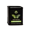 Pinhead Gunpowder Bio - Filtri - Tè verde